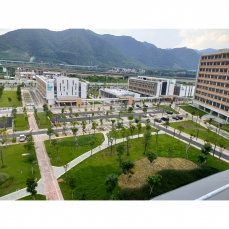 醫(yī)院綠化亮化工程案例